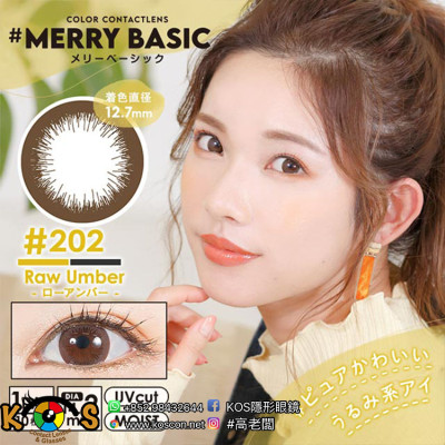 MERRY BASIC 202 Raw Umber メリーベーシック202ローアンバー MERRY BASIC 202 Raw Umber メリーベーシック202ローアンバー